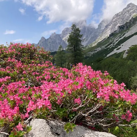 Appartement Haus Dachstein Filzmoos